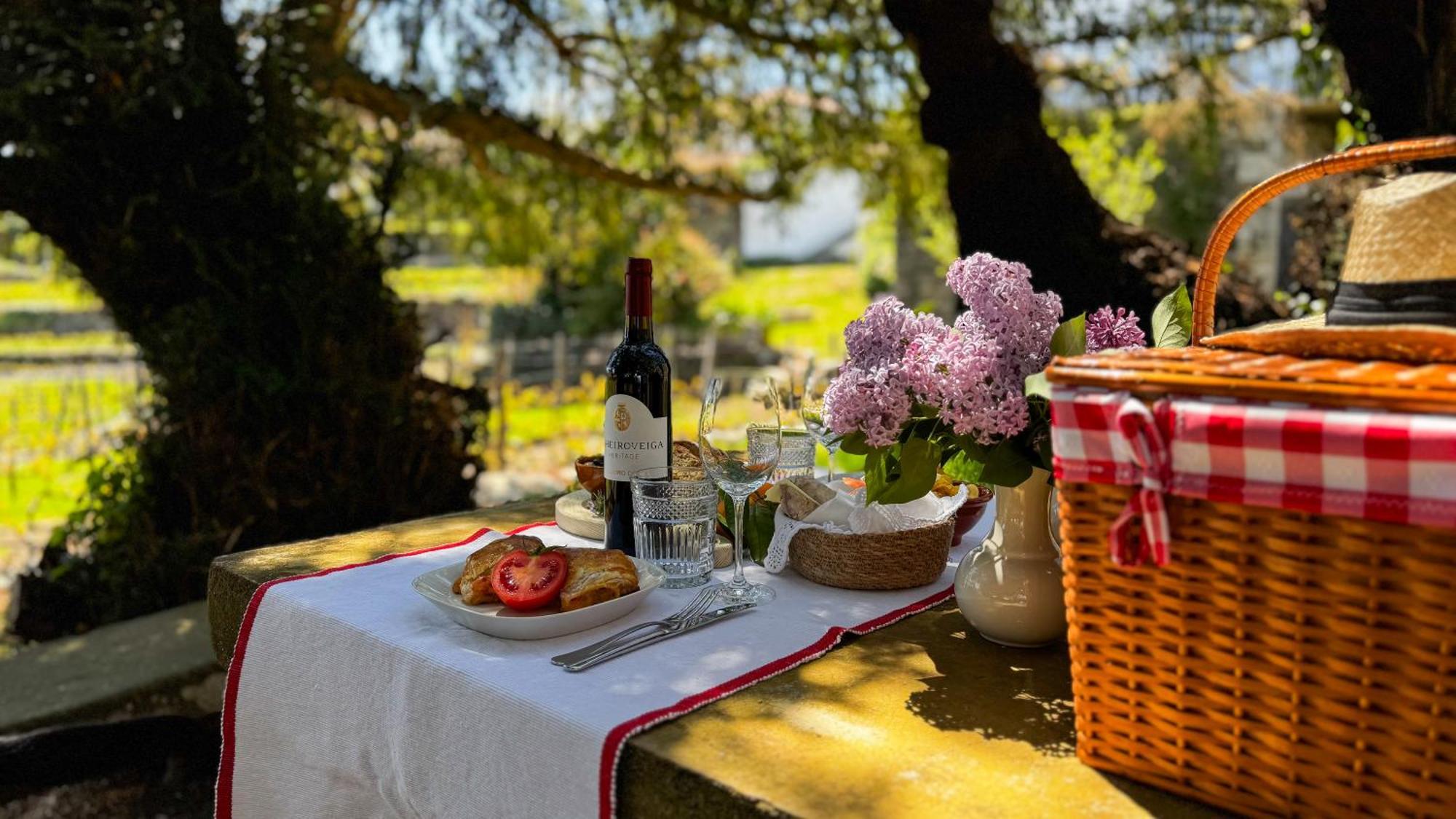 Вілла Casa Do Santo - Wine & Tourism Provesende Екстер'єр фото